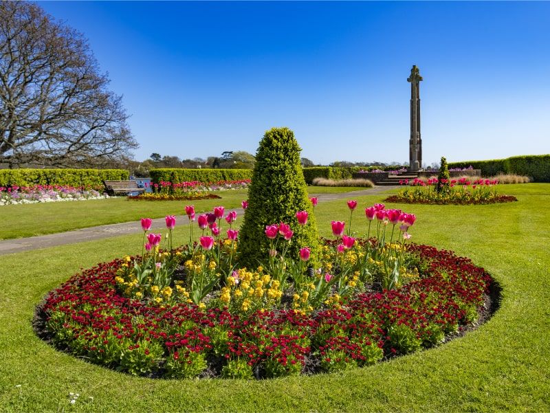 photo of a park with flowers